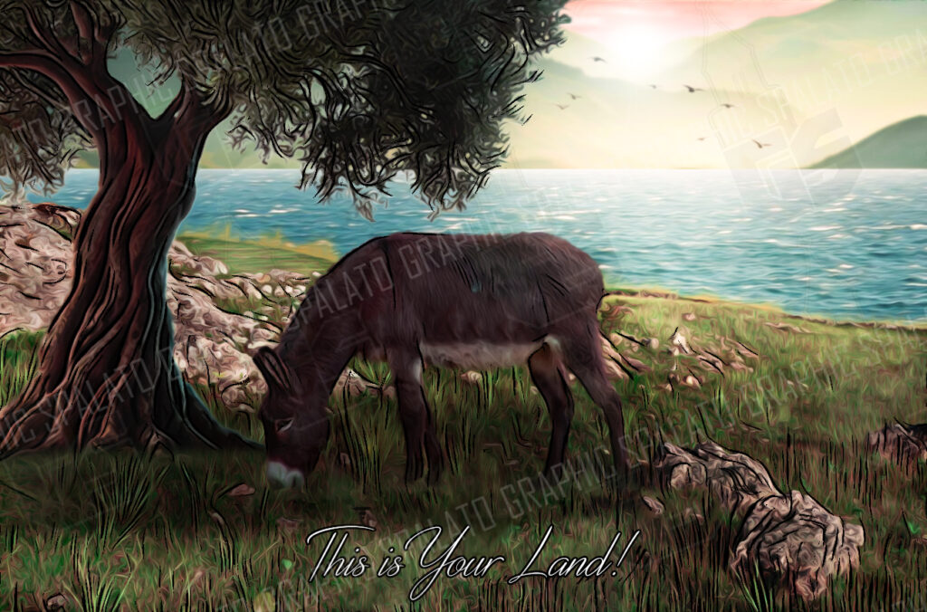 olive, donkey, sea, mediterranean, split, dalmatia, south ,graphics